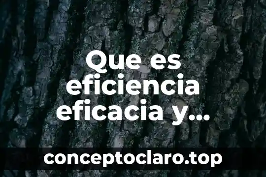 Que es eficiencia eficacia y productividad