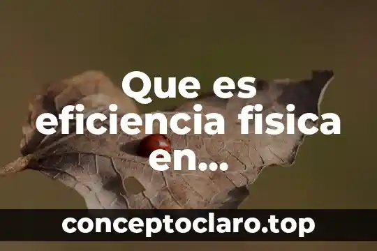 Que es eficiencia fisica en administracion