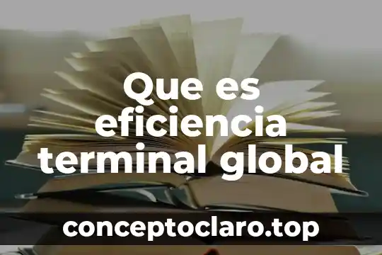 Que es eficiencia terminal global