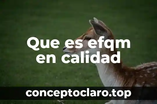 Que es efqm en calidad