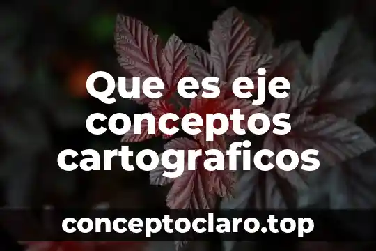Qué es plástico significado y conceptos 3 Que es eje conceptos cartograficos
