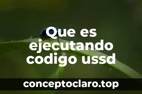 Que es el codigo de la nomenclatura 3 Que es ejecutando codigo ussd
