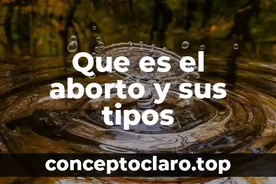 Que es el aborto y sus tipos