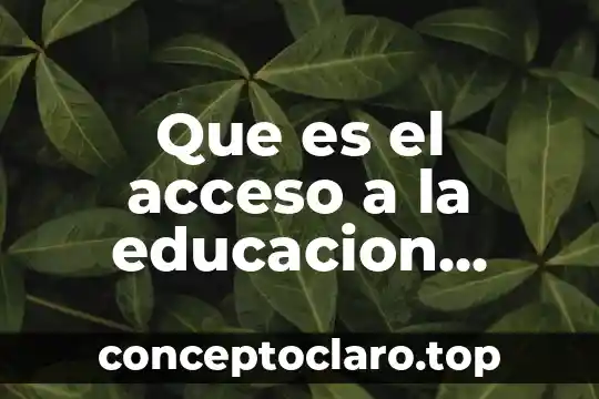 Que es el acceso a la educacion basica en mexico