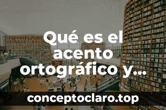 Qué es un curriculum y cuantos tipos existen 3 Qué es el acento ortográfico y cuántos hay