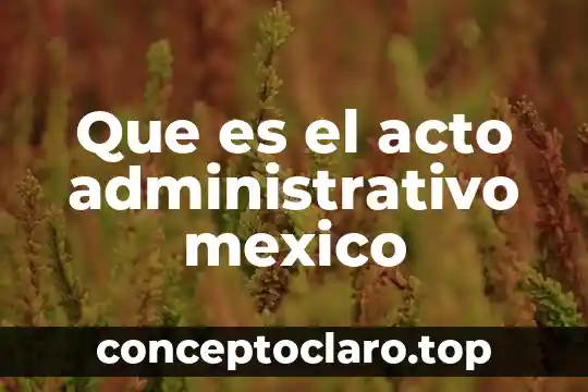 Que es el acto administrativo mexico
