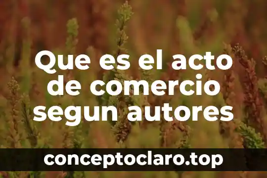 Que es una adecuacion segun autores 5 Que es el acto de comercio segun autores
