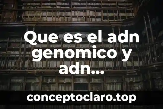Que es el adn genomico y adn cromosomico cuadro
