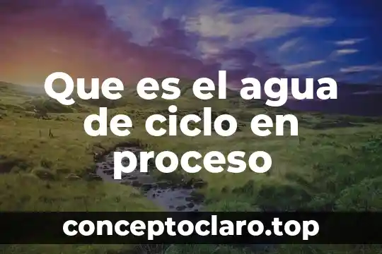 Que es una pistola de agua 4 Que es el agua de ciclo en proceso