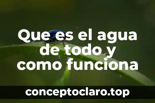 Que es el agua de vitriolo 6 Que es el agua de todo y como funciona