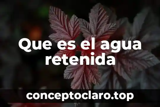 Que es el agua retenida