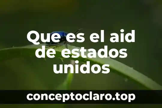 Que es laconstitucion de los estados unidos mexicanos 5 Que es el aid de estados unidos