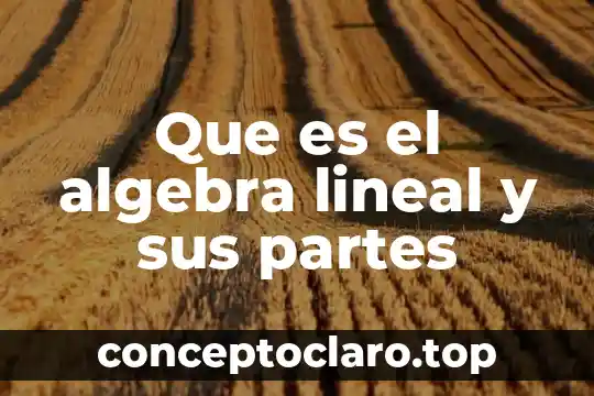 Que es el algebra lineal y sus partes