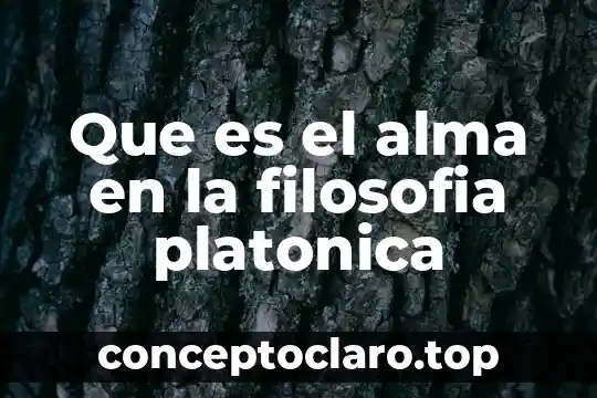 Que es el alma en la filosofia platonica