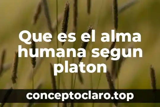 Que es el alma humana segun platon