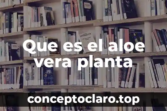 Que es el aloe vera planta