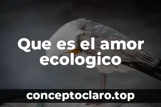 Que es el amor ecologico