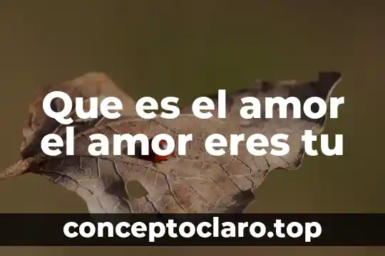Que es el amor el amor eres tu