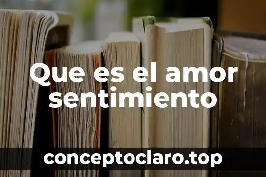 Qué es educar con amor 3 Que es el amor sentimiento