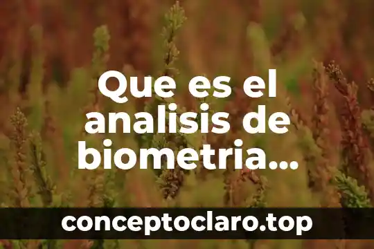 Que es un indicadores biometria hematica 6 Que es el analisis de biometria hematica completa