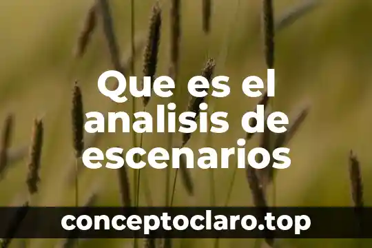 Que es significado clinico 5 Que es el analisis de escenarios