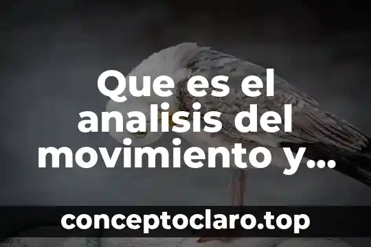 Que es el analisis del movimiento y para que sirve