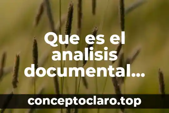 Que es el analisis documental segun teoria fundamentada