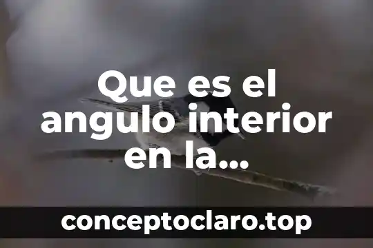 Que es ser tacitamente 3 Que es el angulo interior en la circunferencia en matematicas