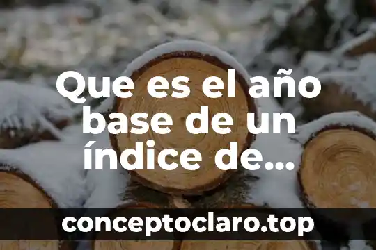 Que es el año base de un índice de precios