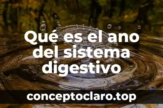Qué es el ano del sistema digestivo