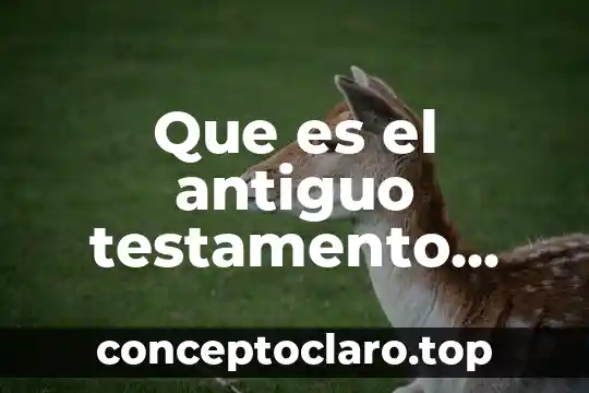 Qué es más económico la donación o el testamento 5 Que es el antiguo testamento para niños