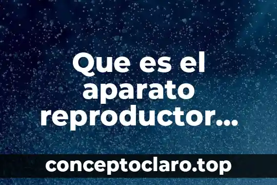 Que es el aparato reproductor masculino resumen