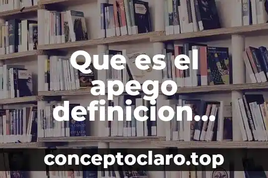 Que es el apego definicion actual