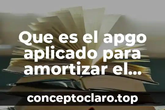 Que es el apgo aplicado para amortizar el credito