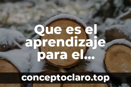 Que es el aprendizaje para el cognitivismo