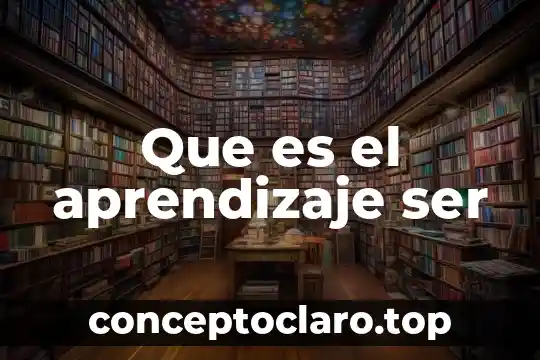 Que es el aprendizaje ser
