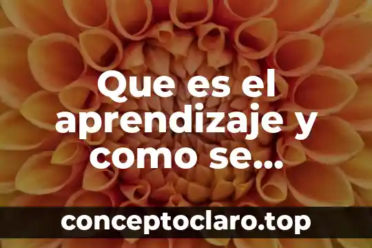 Que es el aprendizaje y como se genera
