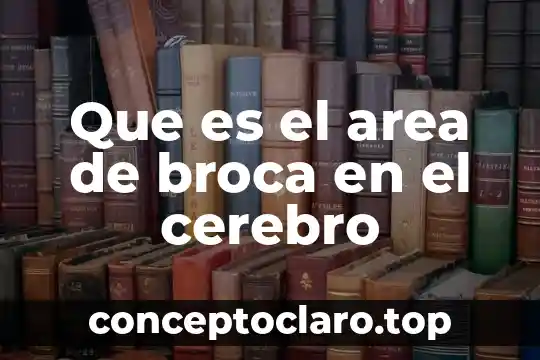 Que es area de transision para un hospital 7 Que es el area de broca en el cerebro