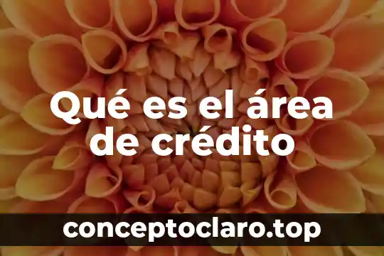 Que es credito por cambaceo 6 Qué es el área de crédito
