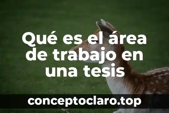 Que es cad y en que area se desarrolla 5 Qué es el área de trabajo en una tesis