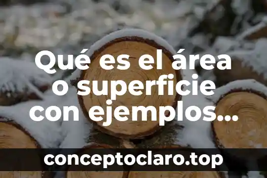 Qué es el área o superficie con ejemplos investigación