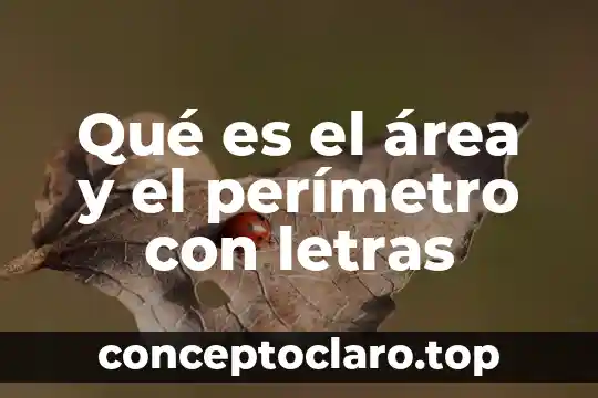 Que es area de transision para un hospital 3 Qué es el área y el perímetro con letras