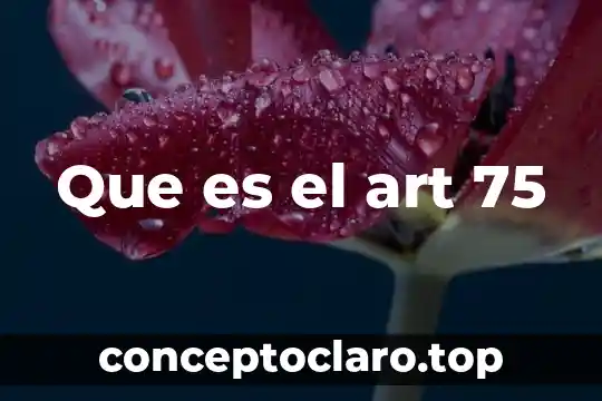 Que es el art 75