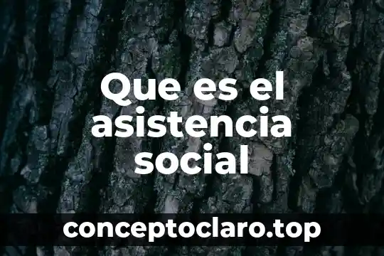 México Asistencia S.A. de C.V. que es 7 Que es el asistencia social