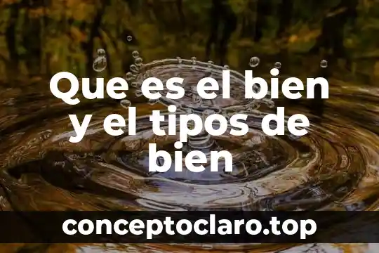 Que es el bien y el tipos de bien