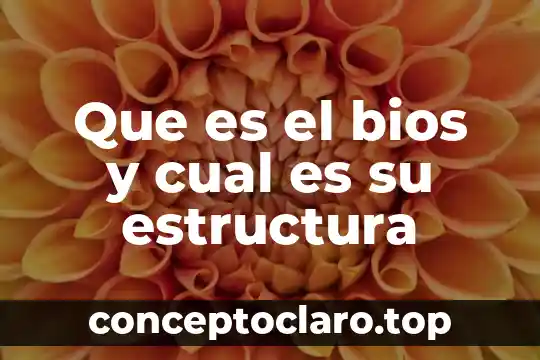 Que es el bios y cual es su estructura