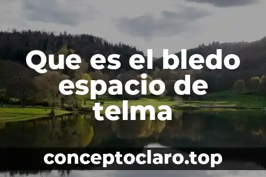 Que es recuperación de espacio urbano 3 Que es el bledo espacio de telma