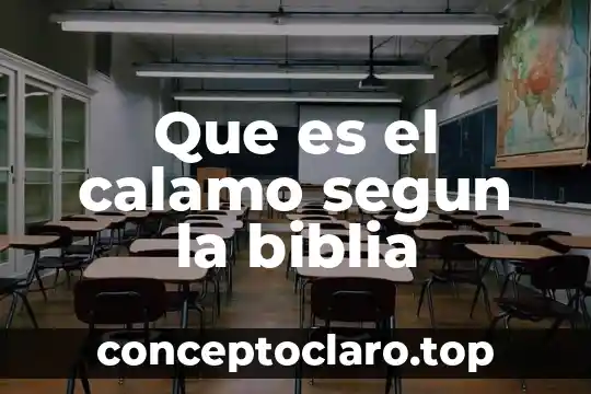 Que es el calamo segun la biblia