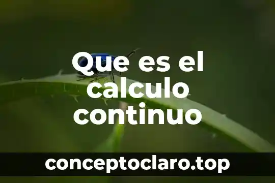 Que es el calculo continuo