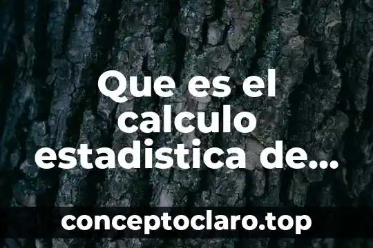 Que es el calculo estadistica de la prueba